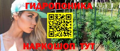 стаф Владимир