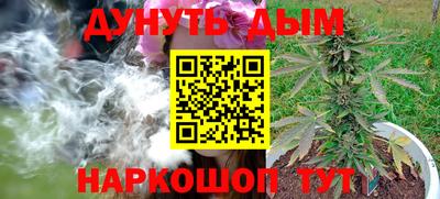 стаф Владимир