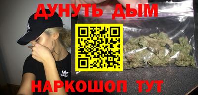 стаф Владимир