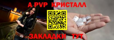 стаф Владимир